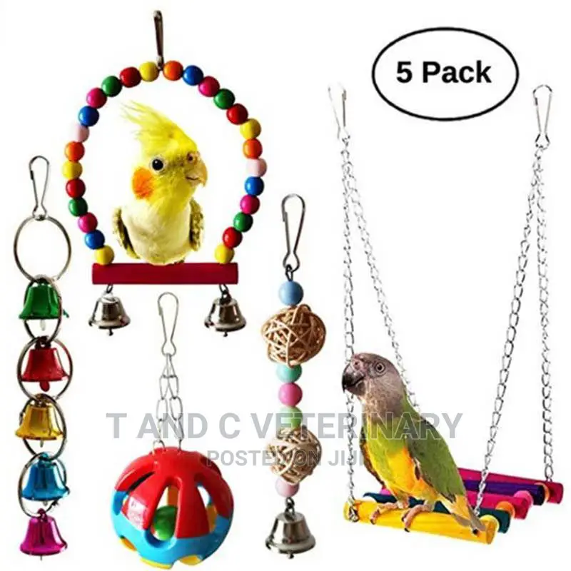 Pet Bird Parrot Toys 5pcs