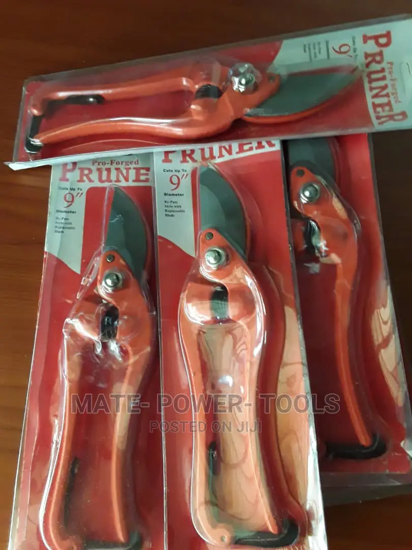 Secateurs 9"