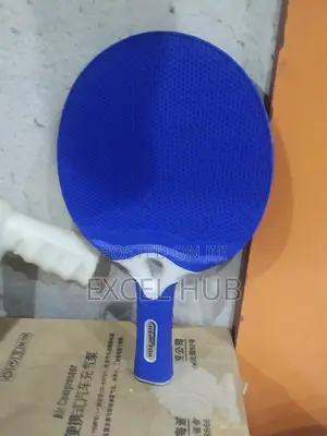 Outdoor Bat Blue