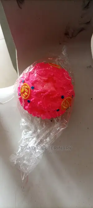 Pet Dog Ball Chew Play Toy