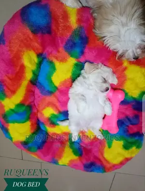 Pet Dog Bed