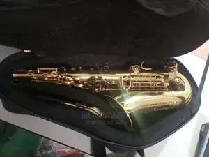 Ibru Leather Sax Bag
