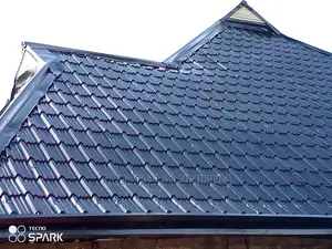 Steptiles Roofing Sheet With Sun Breaker Blade