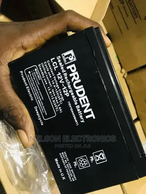 Prudent 12v12ahs Dry Cycle Battery for Ups or Solar