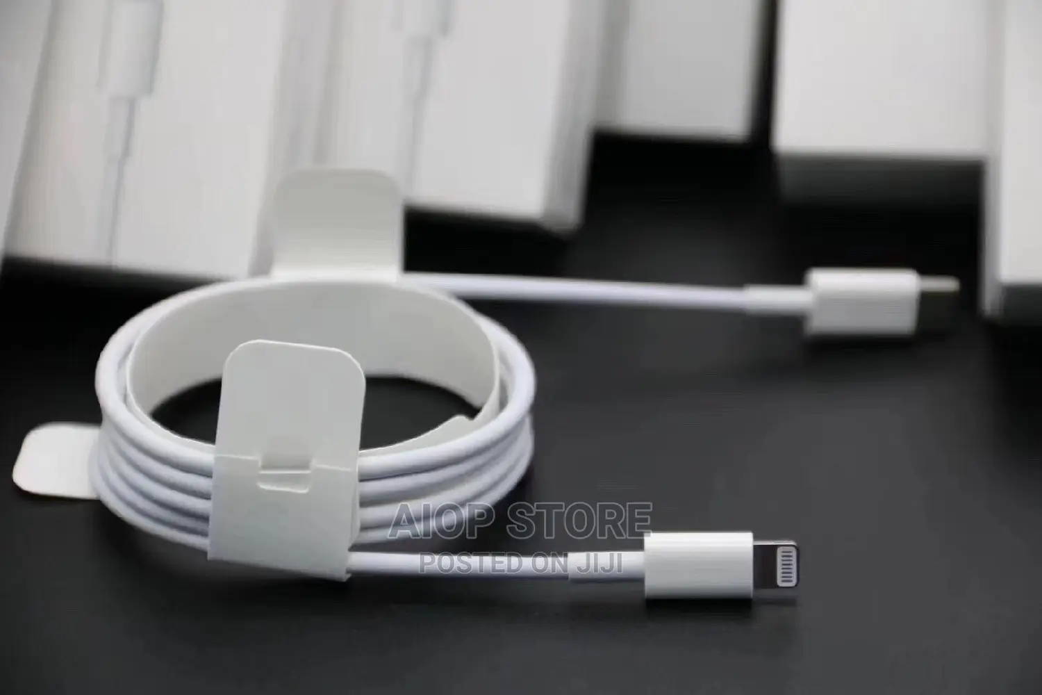 iPhone 12 Charger