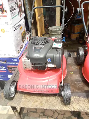 Birggs and Stratton Mower