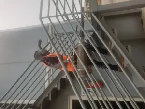 Fumigation And Pest Treatment