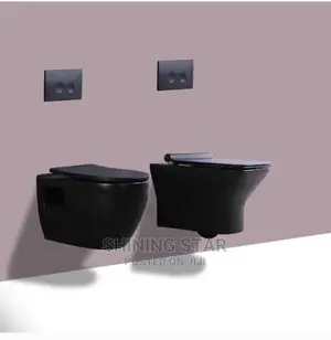 Black Conceal Wc and Tank