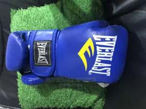 Glove Box Boxing Gloves