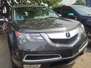 Acura MDX 2010 Gray