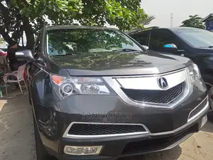 Acura MDX 2010 Gray