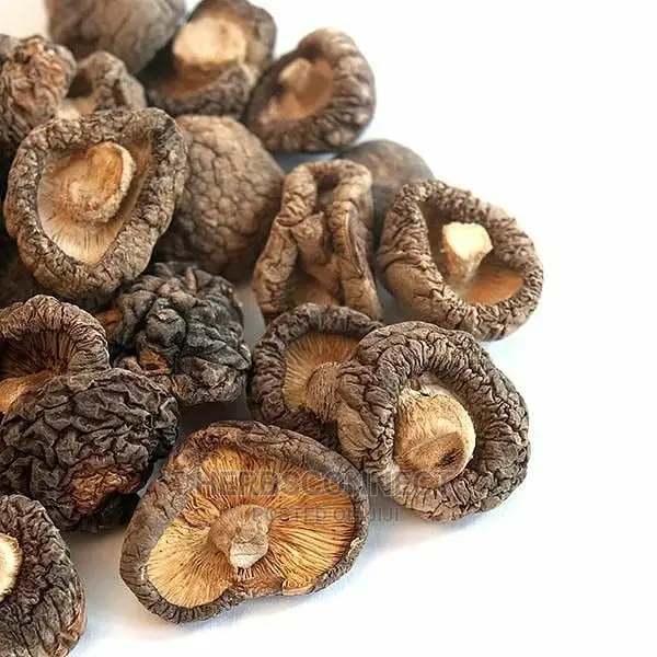 Dried Forest Mushrooms-125g
