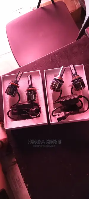 Original Full Light Bulbs for 013 to 16 Accord