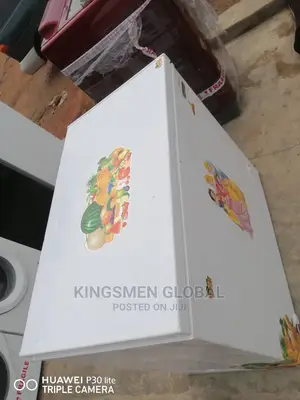 Chest Freezer 220l
