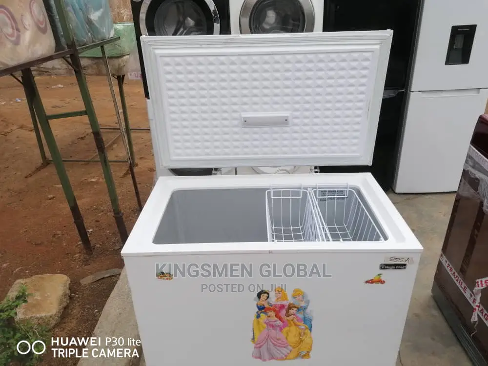 Chest Freezer 220l