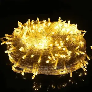 Warm Light Color Light 500 Bulb