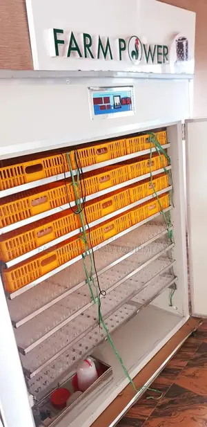 Incubator for Eggs