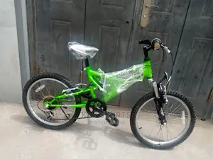 Raleigh Children Bicycle 20 Inches