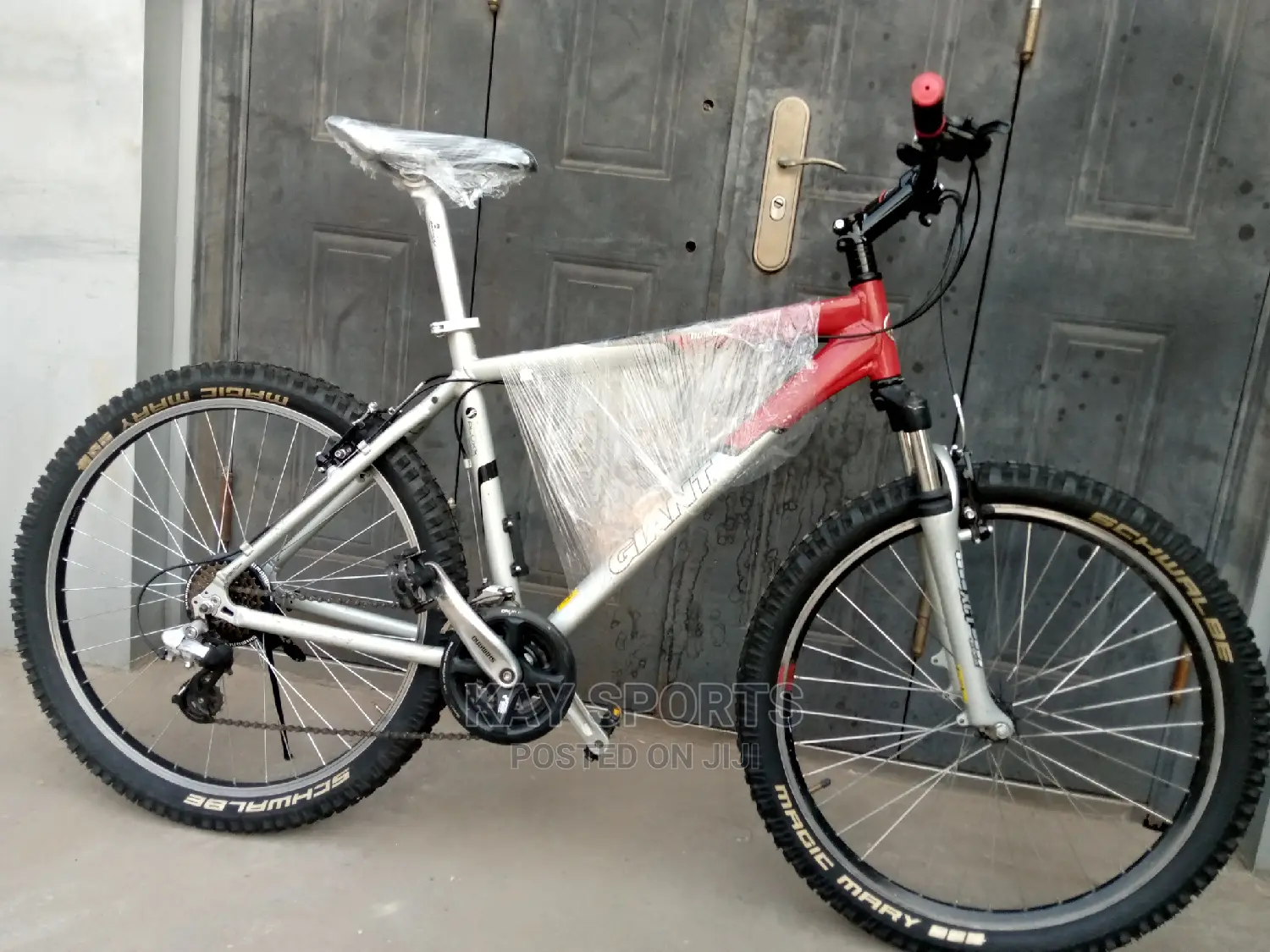 Giant Sport Bicycle Big Tyre