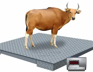 Digital Floor Weighing Scale 1000kg