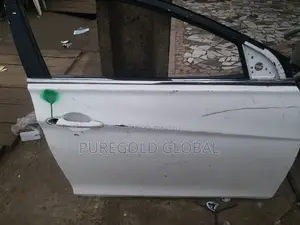 Sonata 2014 Model Front Door