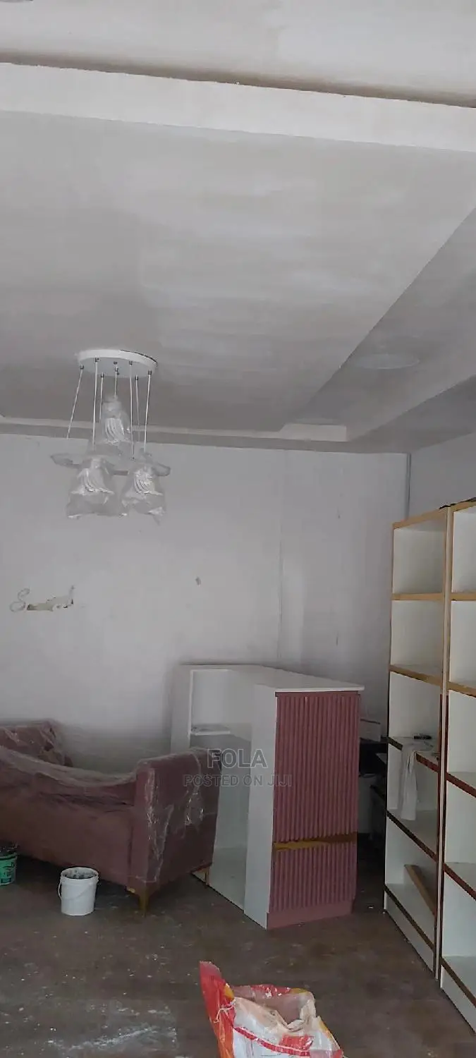 Wall Screeding/Plasterboard/Lightning