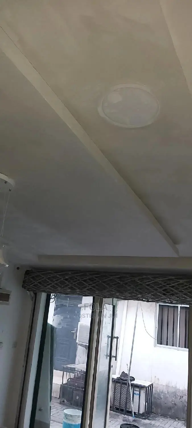 Wall Screeding/Plasterboard/Lightning