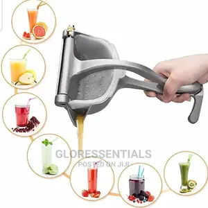 Fruit Press Juicer