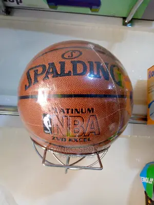 Spalding Basketball
