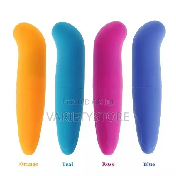 Powerful Dolphin Shape Mini G-Spot Vibrator