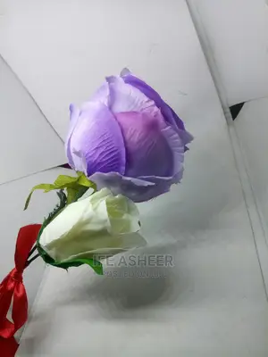 Beautiful and Exotic Rose Flowers for Your Loved Ones
