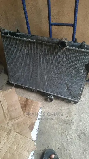 Clean Radiator for Peugeot and Cytroen