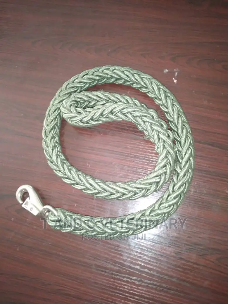 Heavy Duty Braided Pet Dog Leash