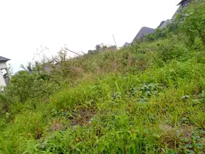 Clean Land for Sale in Omuonwa Rivers