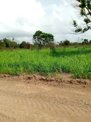 Industrial Land Very Suitable for Farmin/Industrial Purposes