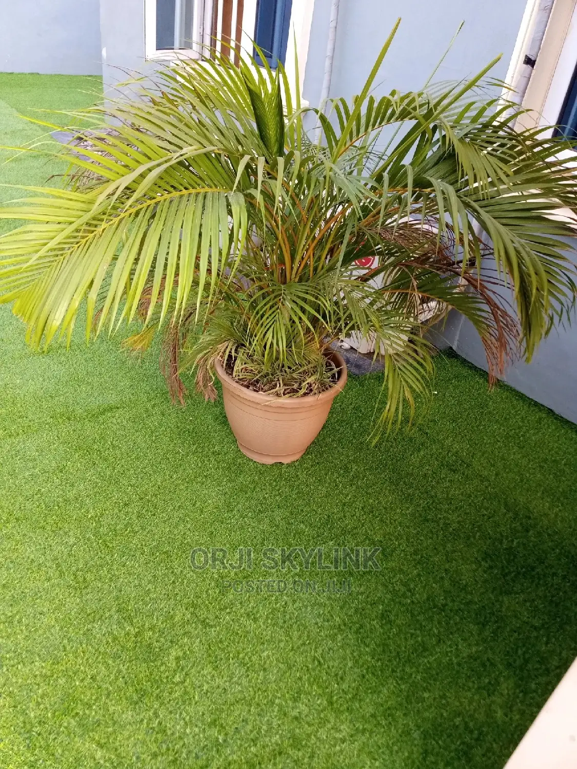 Carpet Synthetics Green Grass