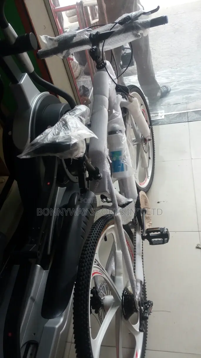 Adult Riding Exercise Bike