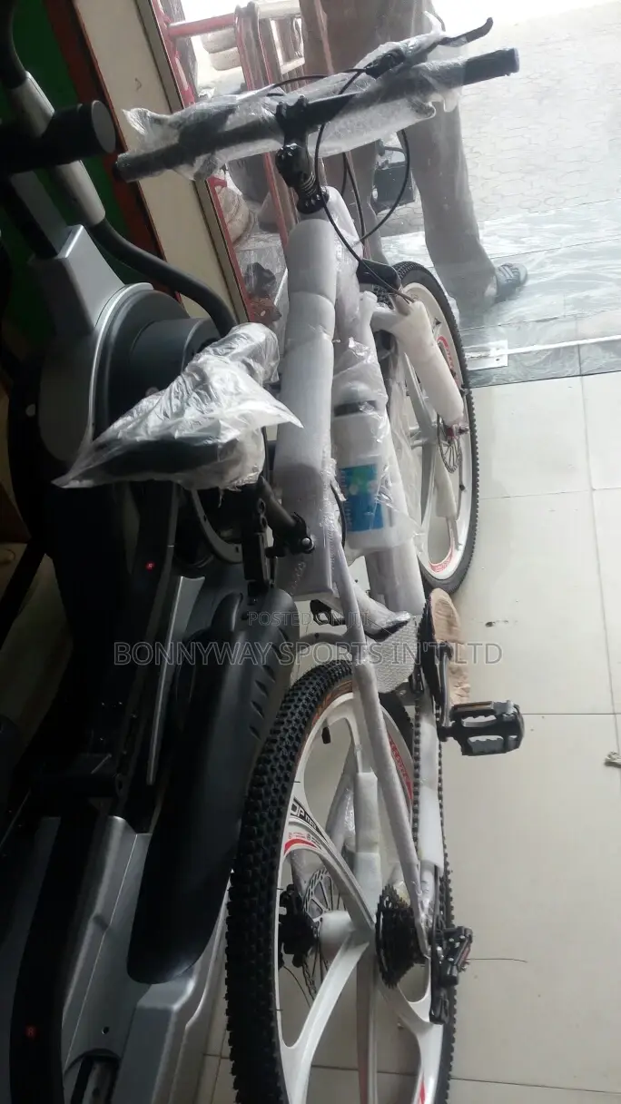 Adult Riding Exercise Bike