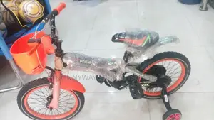 Children Riding Exercise Bike Size 16