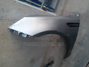 Kia and Hyundai Neat Fenders Available Here