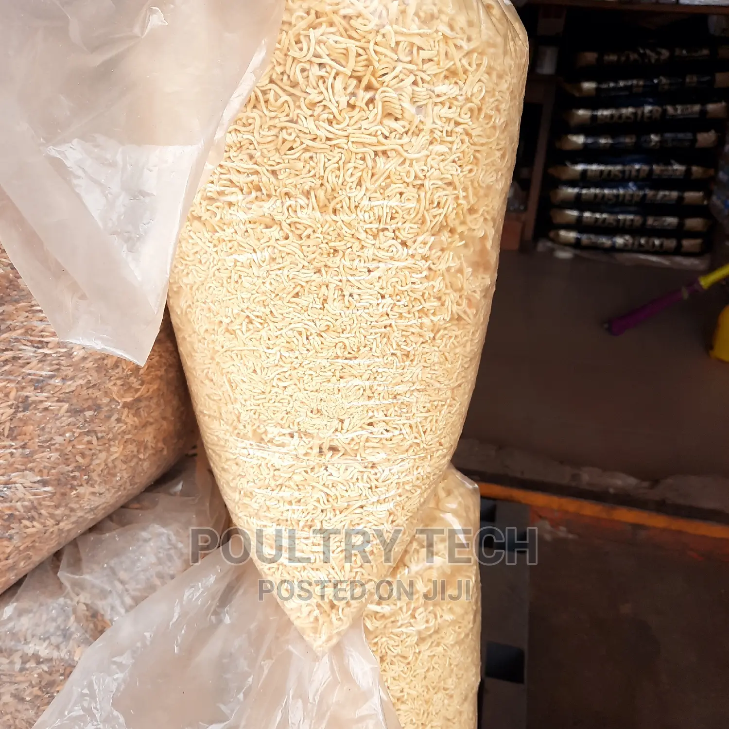Plain Indomie Noodles for Dog