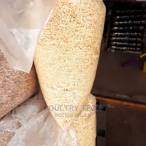 Plain Indomie Noodles for Dog