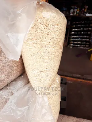 Plain Indomie Noodles for Dog
