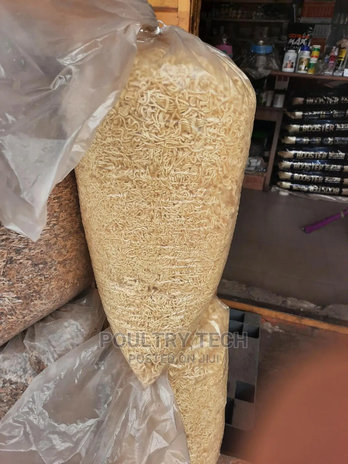 Plain Indomie Noodles for Dog