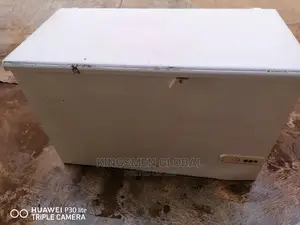 German Freezer for Frozen Food Business