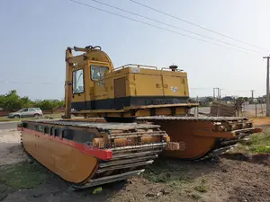 Cat Swamp Buggy