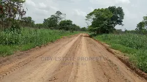 Early Bird Land for Sale Behind Portharcourt Airport
