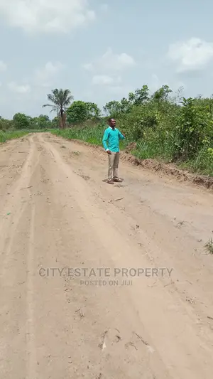 You Cant Resist Buying This Land When You See It