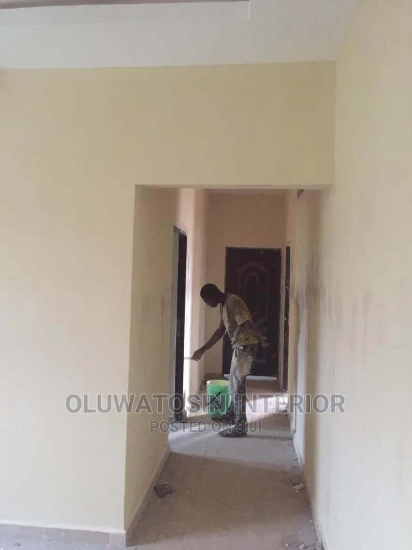 Professional Painter