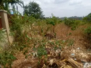 Estate Land for Sale, at Wasa Along Airport Road, 5.9 Htrs
